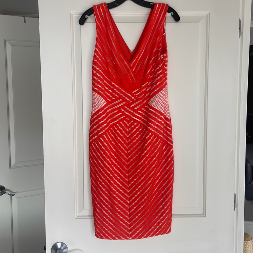 Tadashi Shoji Dress